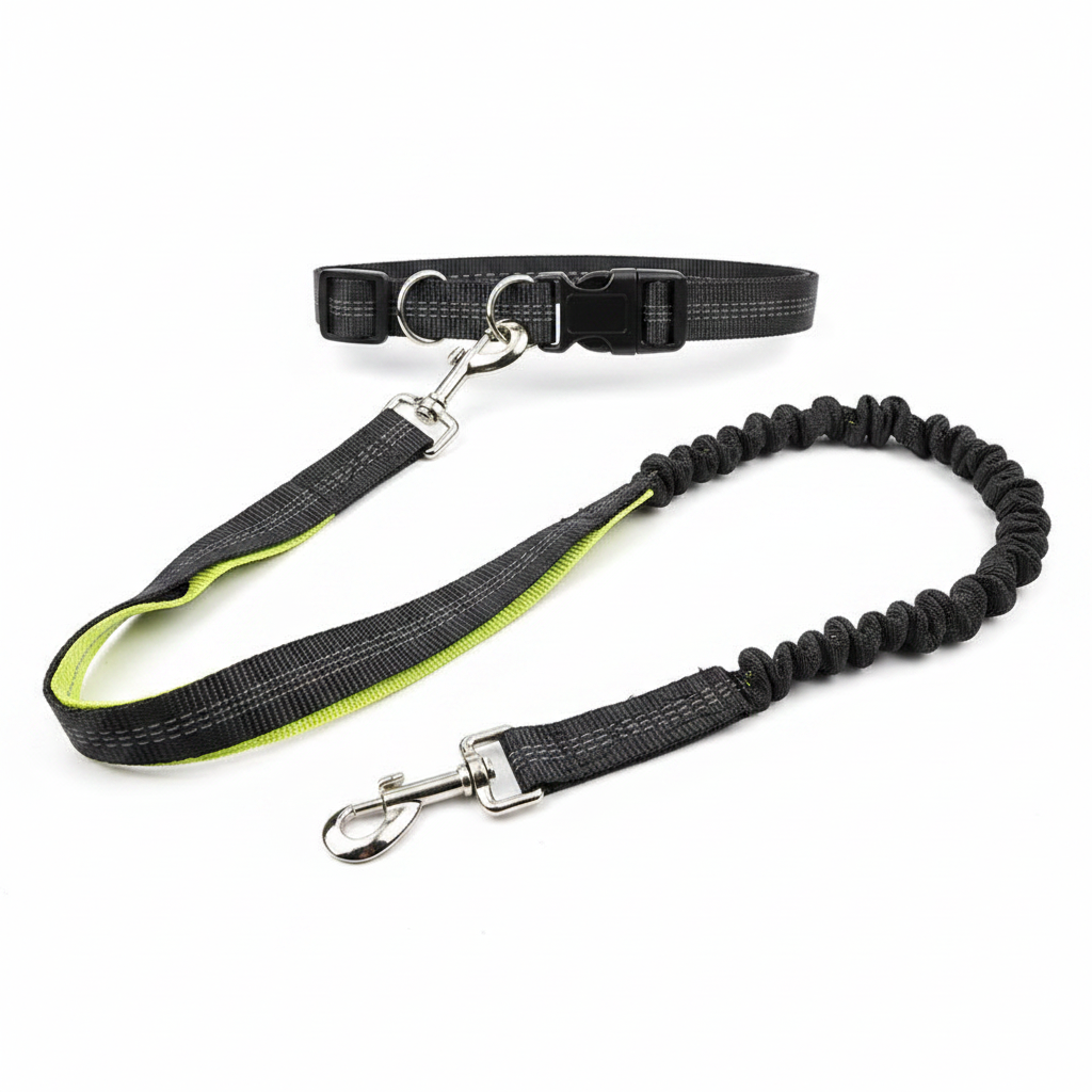 Dog Walking Belt - Product Shot