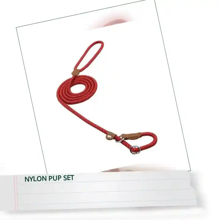 Nylon Pup Set by@Outfy